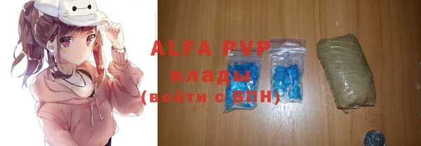 сатива Алексеевка