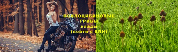 сатива Алексеевка